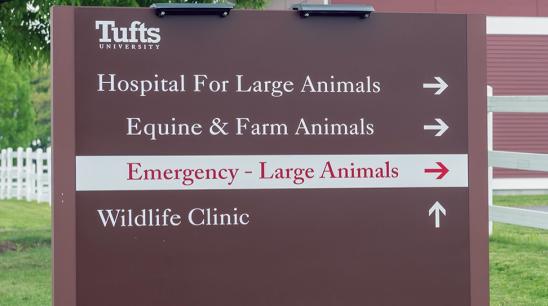 Equine Emergency Sign